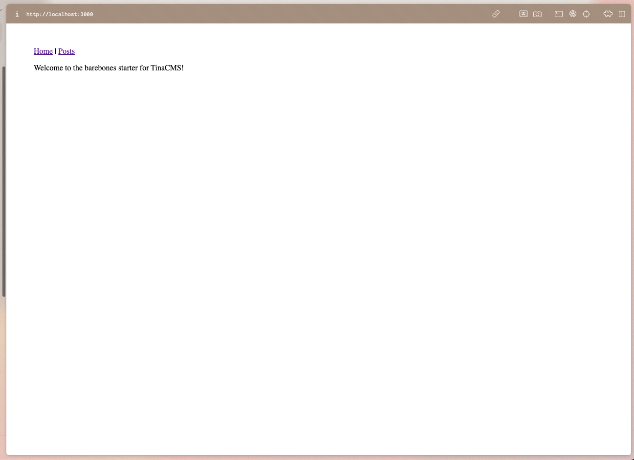 スクリーンショット：開発サイトのトップページ。上部にHomeとPostsのナビゲーションリンクがある。その下にWelcome to the barebones starter for TinaCMS! と1行の文章がある。